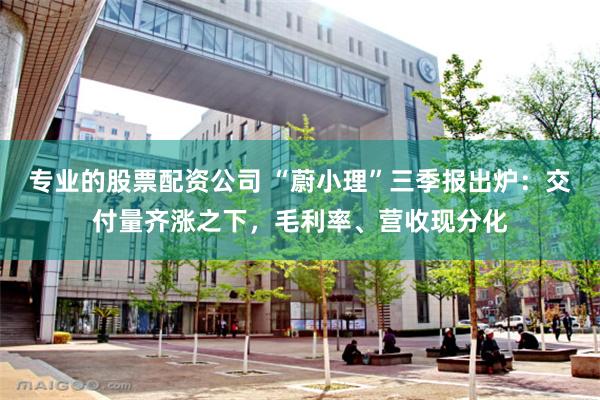 专业的股票配资公司 “蔚小理”三季报出炉：交付量齐涨之下，毛利率、营收现分化