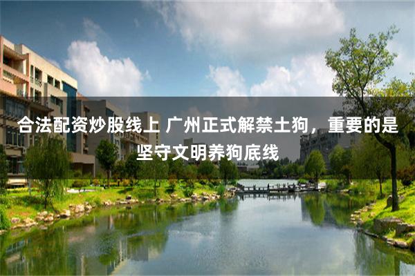 合法配资炒股线上 广州正式解禁土狗，重要的是坚守文明养狗底线