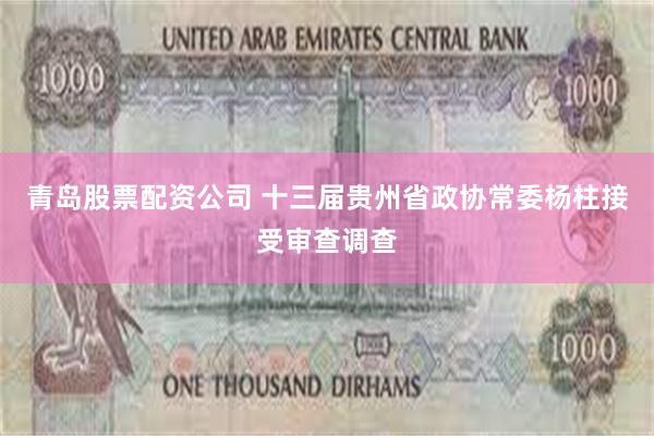 青岛股票配资公司 十三届贵州省政协常委杨柱接受审查调查