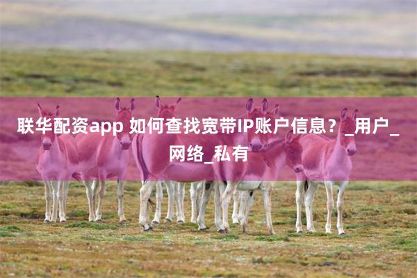 联华配资app 如何查找宽带IP账户信息？_用户_网络_私有