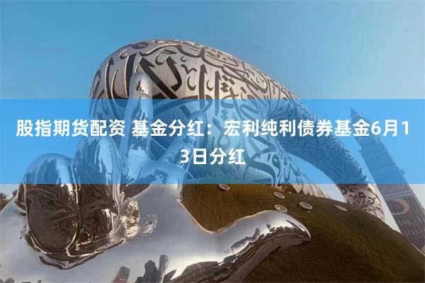 股指期货配资 基金分红：宏利纯利债券基金6月13日分红