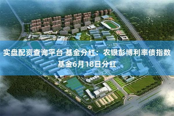 实盘配资查询平台 基金分红：农银彭博利率债指数基金6月18日分红