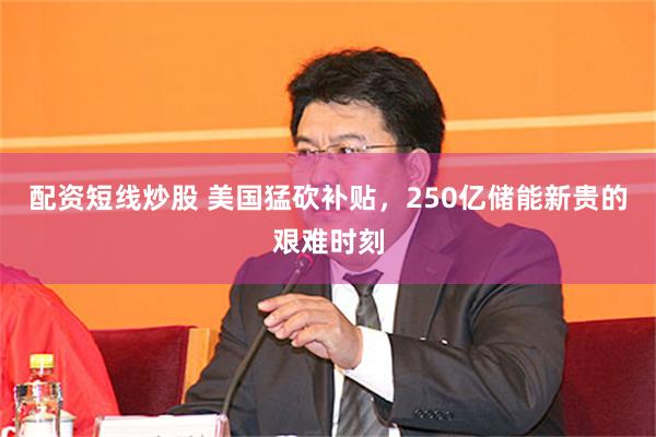 配资短线炒股 美国猛砍补贴，250亿储能新贵的艰难时刻