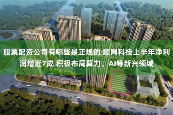 股票配资公司有哪些是正规的 顺网科技上半年净利润增近7成 积极布局算力、AI等新兴领域