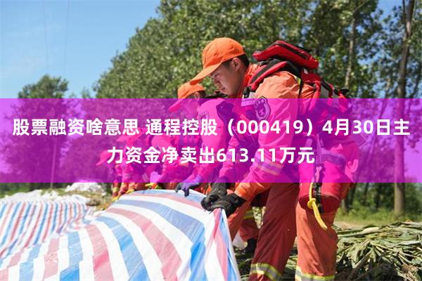 股票融资啥意思 通程控股（000419）4月30日主力资金净卖出613.11万元